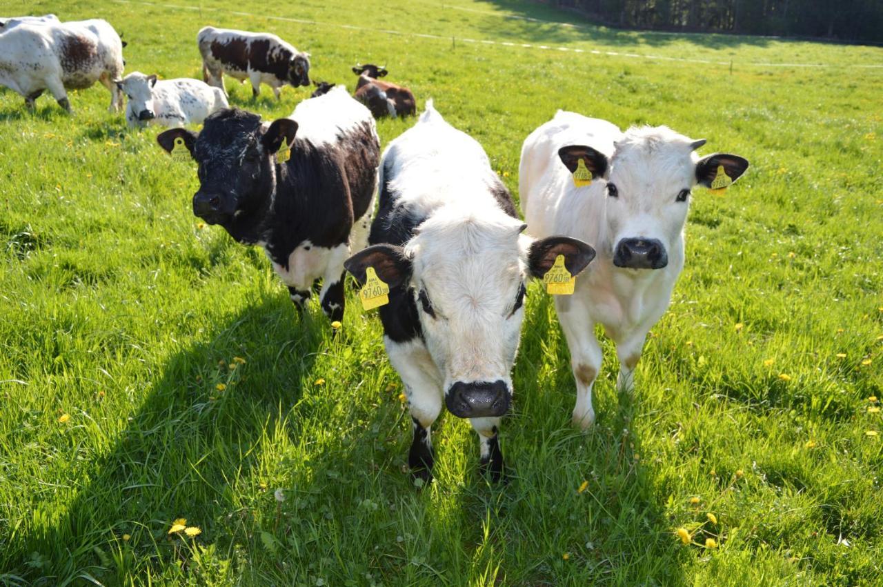 Farm stay Pircherhof - Adults Only Am Biobauernhof *