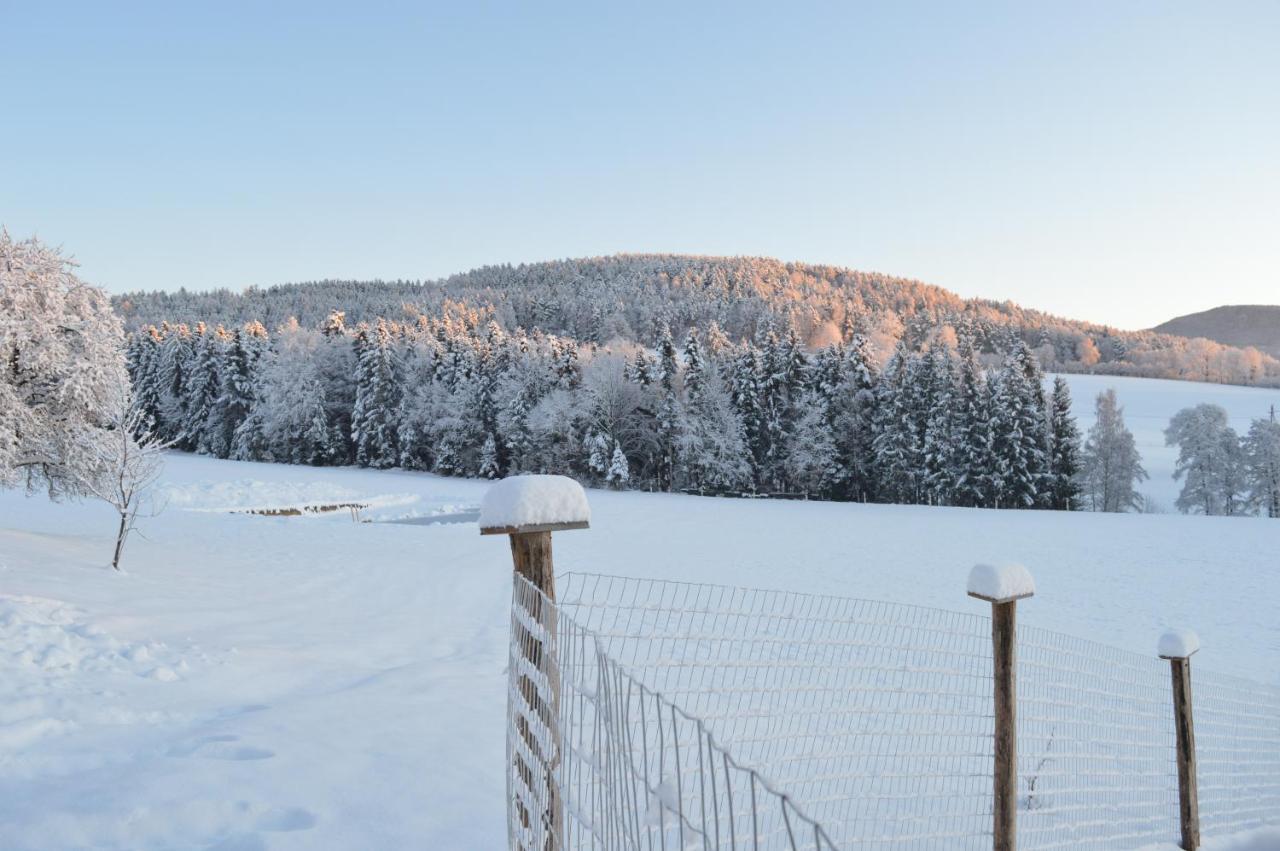 Farm stay Pircherhof - Adults Only Am Biobauernhof